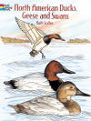 North American Ducks, Geese and Swans Coloring Book, by Ruth Soffer
