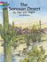 The Sonoran Desert by Day and Night s Coloring Book, by Dot Barlowe
