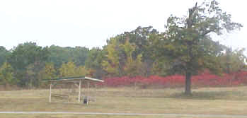 Peaceful fall foliage at the Cave Springs campus - Genealogy in the Woods Retreat venue.